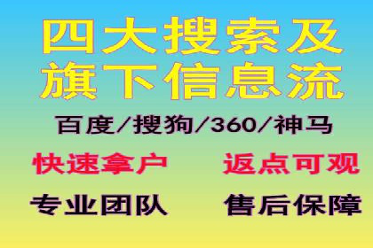 成功SEM代理案例：精准投放的策略